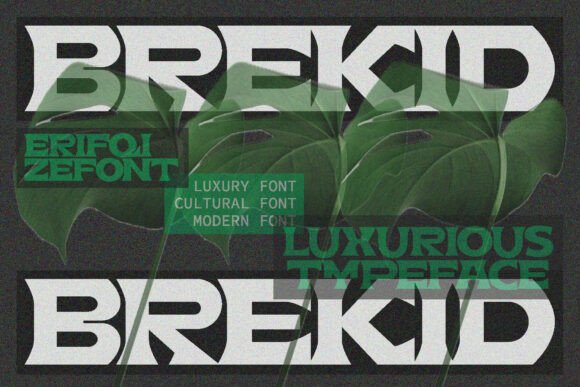 Brekid: The Serif Font That Elevates Campaigns
