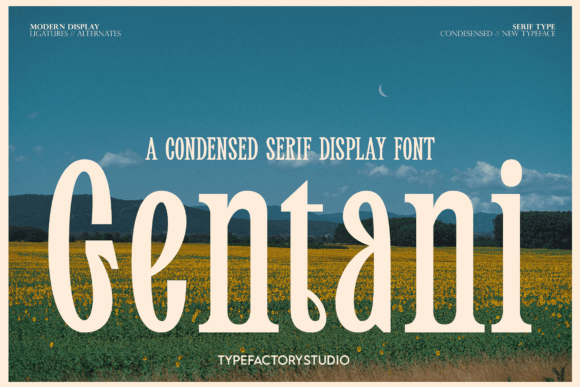Gentani: A Serif Font for Stronger Branding