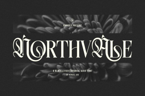 Northvale Font: Elevate Your Brand Identity